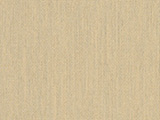 Sunbrella Spectrum Sand (48019-0000)